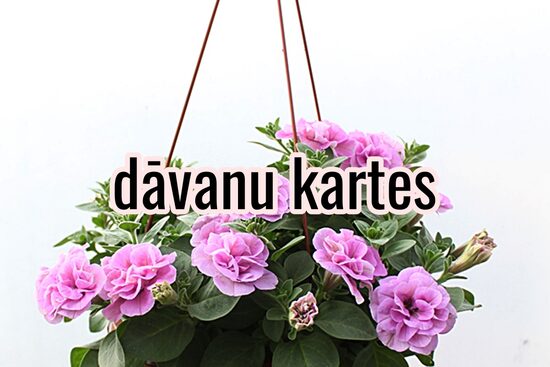 Dāvanu kartes